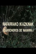 Nafarrako ikazkinak