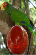 Breathtaking Colors of Nature