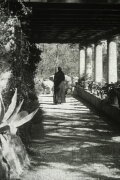 The Servant