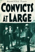 Convicts at Large