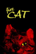 Fire Cat