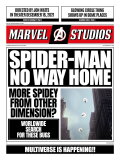 Spider-Man: All Roads Lead to No Way Home