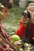 Bangla Borcha