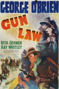 Gun Law