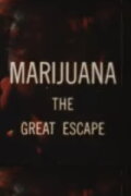 Marijuana The Great Escape