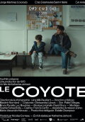 The Coyote