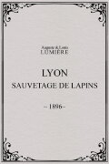 Lyon : sauvetage de lapins