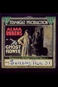 The Ghost Flower