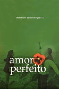 Amor Perfeito
