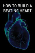 How to Build a Beating Heart