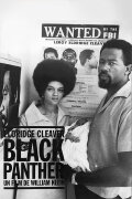 Eldridge Cleaver, Black Panther