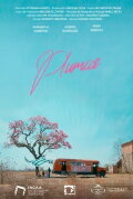 Plumas