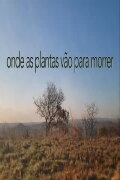 Onde As Plantas Vão Para Morrer