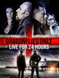 Dragonfiles Only Live for 24 Hours