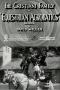 Equestrian Acrobats