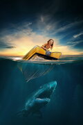 Shark Waters