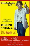 It's a Wondrous Life