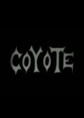 Coyote