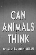 Can Animals Think