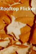 Rooftop Flicker
