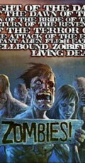 Night of the Day of the Dawn of the Son of the Bride of the Return of the Revenge of the Terror of the Attack of the Evil, Mutant, Hellbound, Flesh-Eating Subhumanoid Zombified Living Dead, Part 4