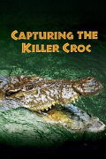 Capturing the Killer Croc