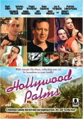 Hollywood Palms