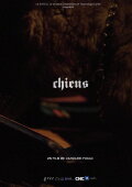 Chiens