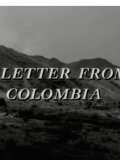 A Letter from Colombia