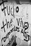 Viva Les Amis
