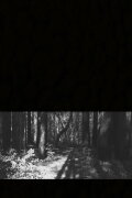 A Mere Shadow