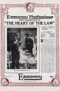 The Heart of the Law
