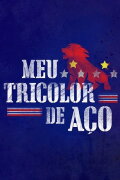 Meu Tricolor de Aço
