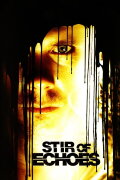 Stir of Echoes