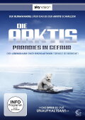 Arctic