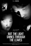 But The Light Shines Through The Leaves