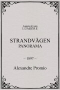 Strandvägen : panorama