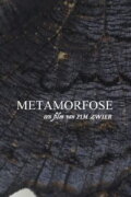 Metamorphosis