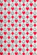 Teenage Superstar On Stage