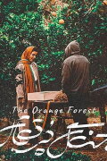 The Orange Forest