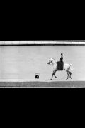 Bay Horse, Ridden by Thérèse Rentz, Canter