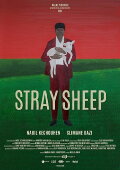 Stray Sheep