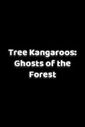 Tree Kangaroos: Ghosts of the Forest