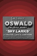 Sky Larks