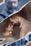 Love Hostel