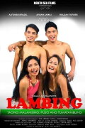 Lambing