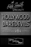 Hollywood Daredevils
