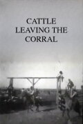 Cattle Leaving the Corral