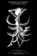 The Cypress Dance