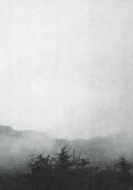 Mist
